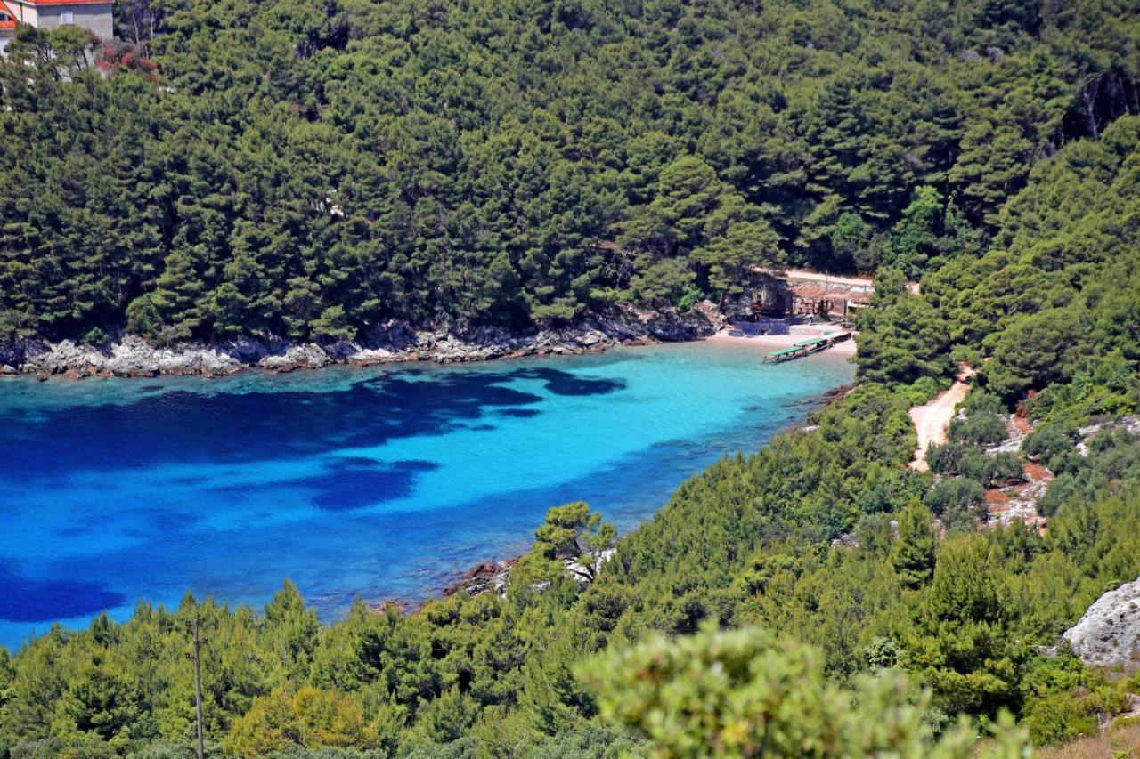 Apartments By The Sea Luka Dubrava, Peljesac - 4568 Janjina Luaran gambar